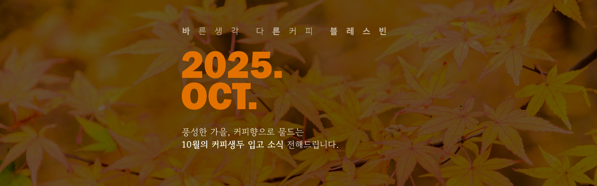 배경 이미지