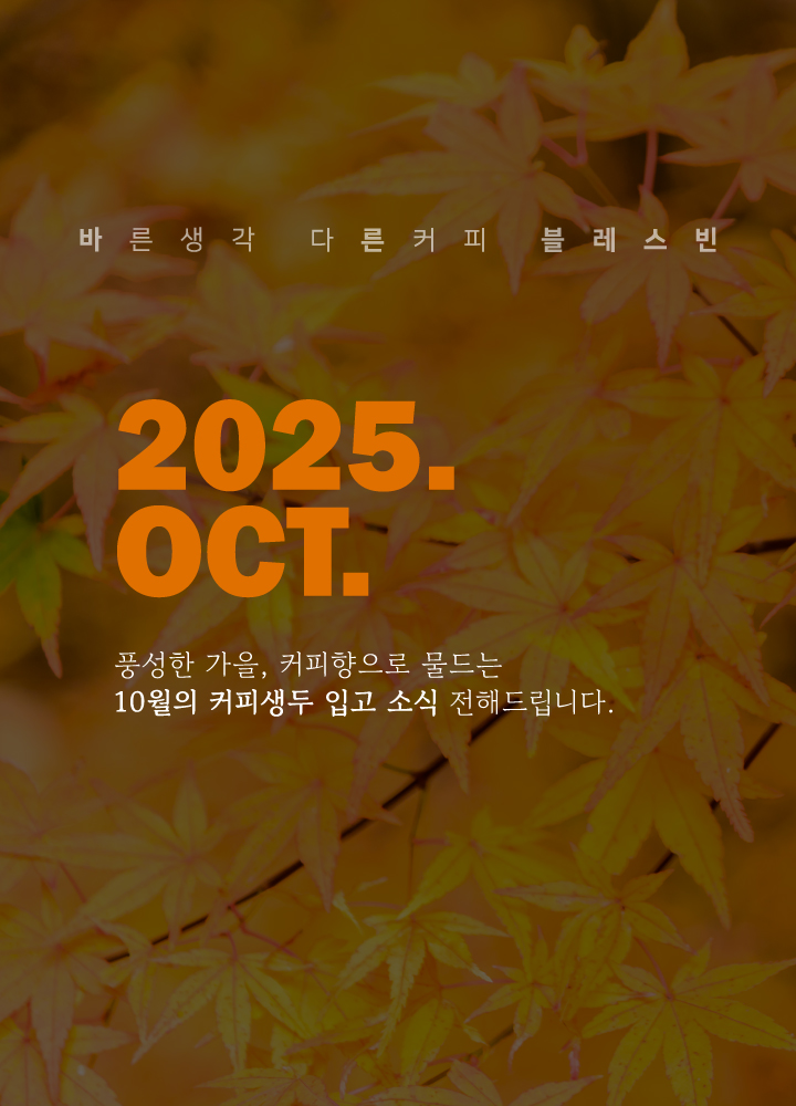 배경 이미지
