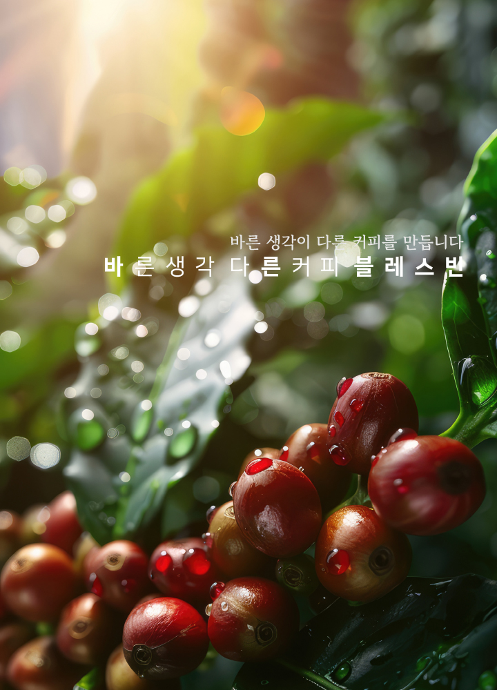 배경 이미지