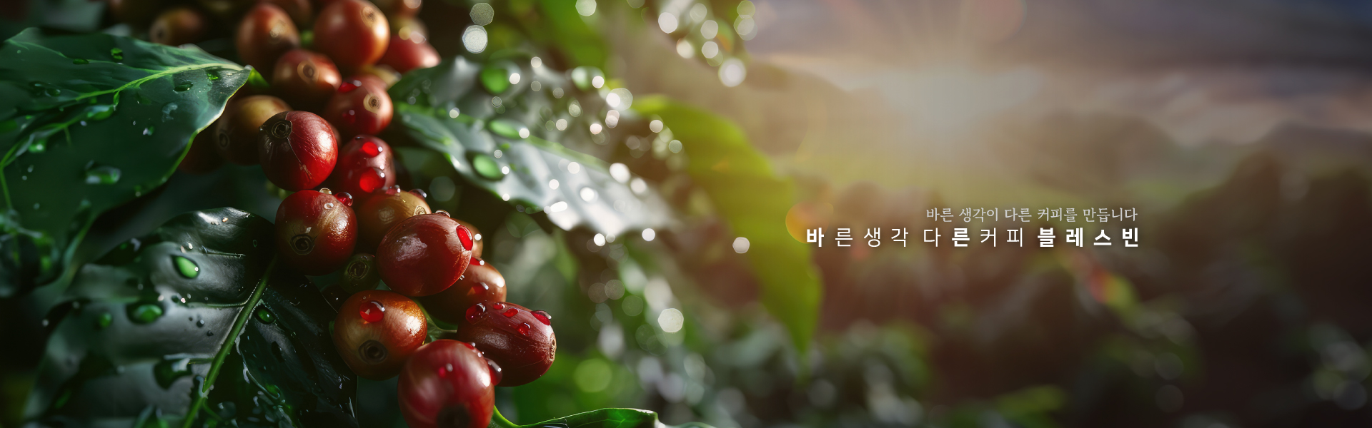 배경 이미지