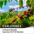 콜롬비아 안티오퀴아 메델린 수프리모 SC17/18 워시드