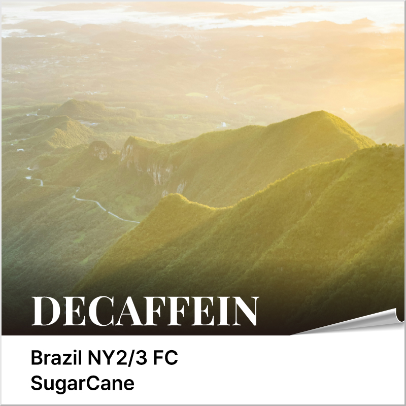 -디카페인- 브라질 NY2/3 FC  - 슈가케인