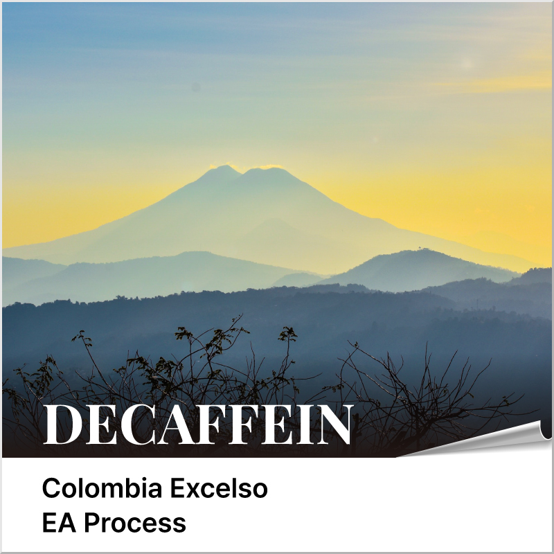 -디카페인- 콜롬비아 엑셀소 - EA프로세스