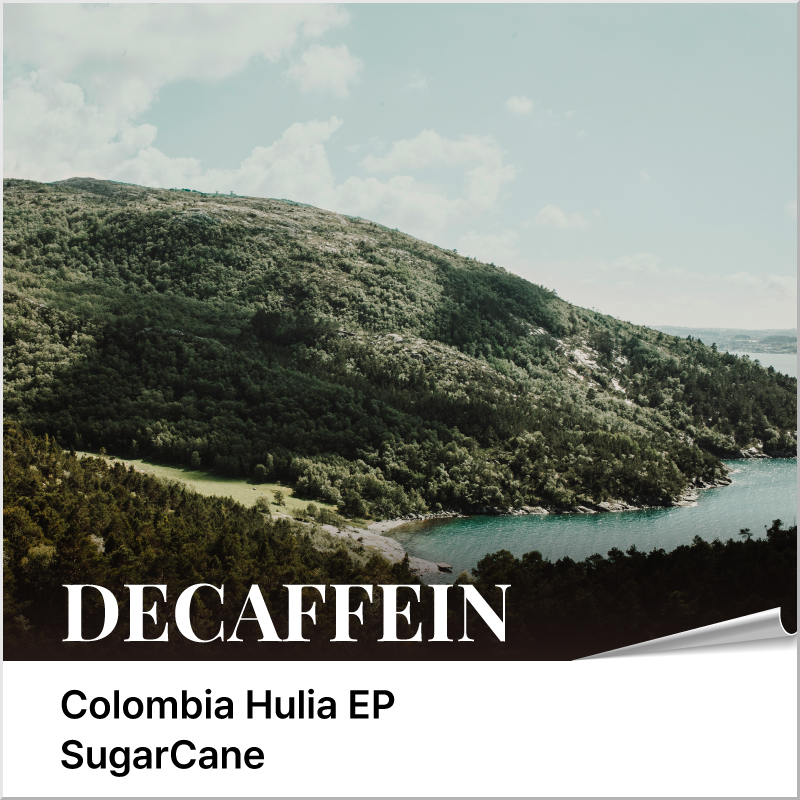 -디카페인- 콜롬비아 후일라  EP  - 슈가케인