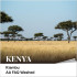 케냐 키암부 AA FAQ 워시드